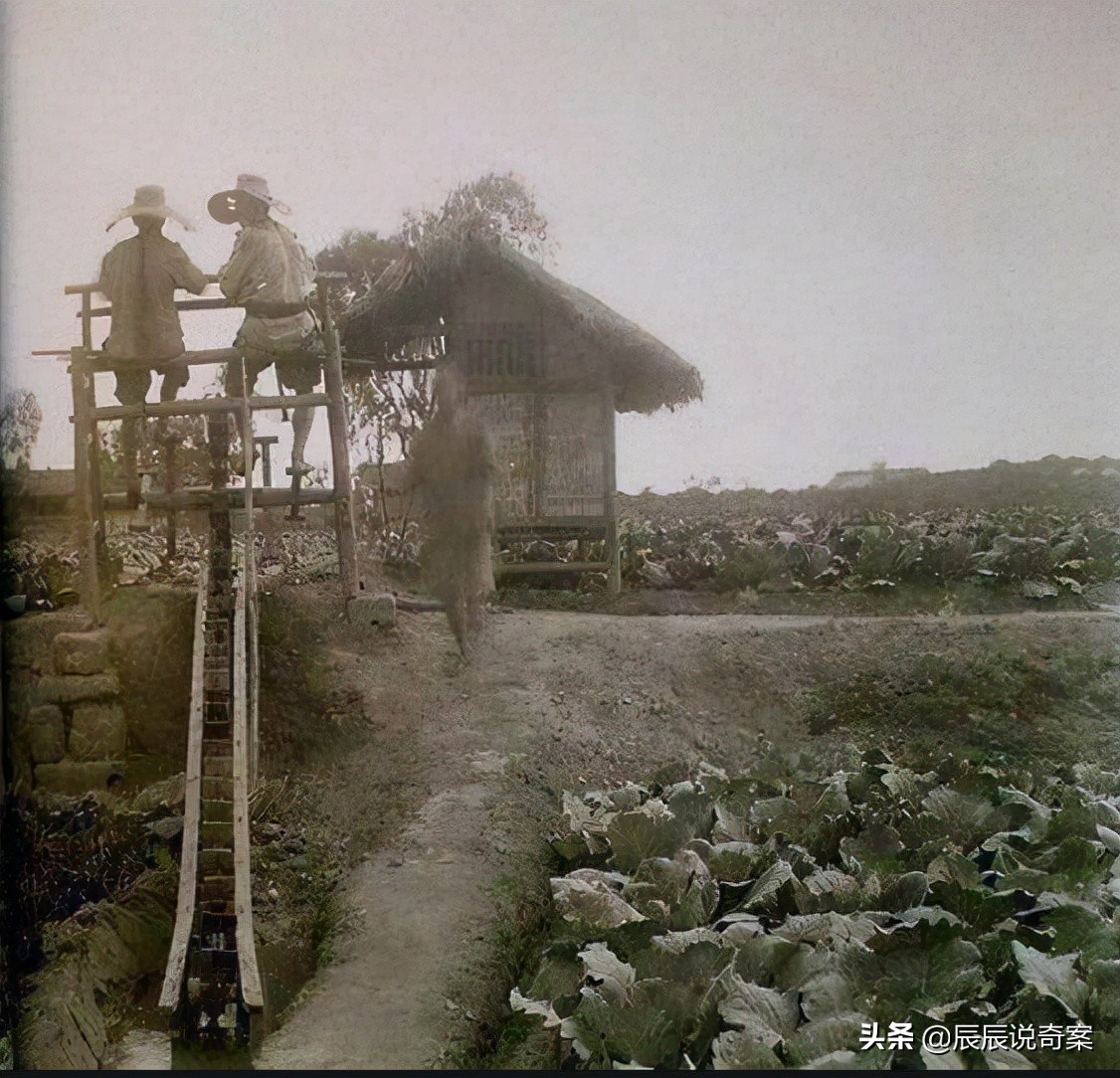 清朝奇案美妻离奇死亡,清朝奇案狠毒妇人连害五命