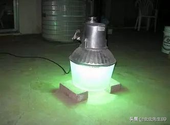 昆虫为什么会被灯吸引,吸引昆虫的灯光