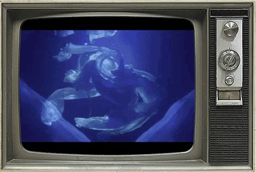 艾薇儿替身梅丽莎现状,为什么说艾薇儿是真实的