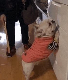 兰蔻这是要逆天！新一代升级到底有何魔力？