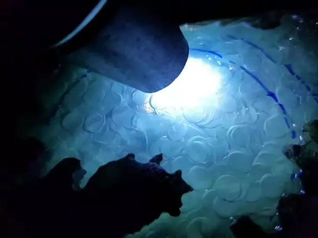 买千万翡翠原石看货继续开窗,开窗阳绿的翡翠原石能否时来运转