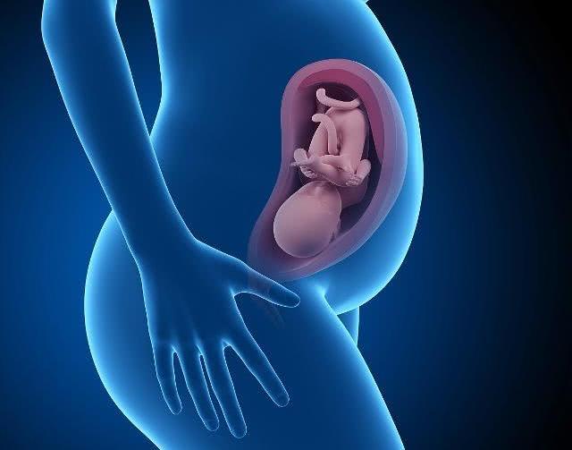 孕妇怀孕后是否可以吃燕窝,怀孕后可以吃即食海参吗