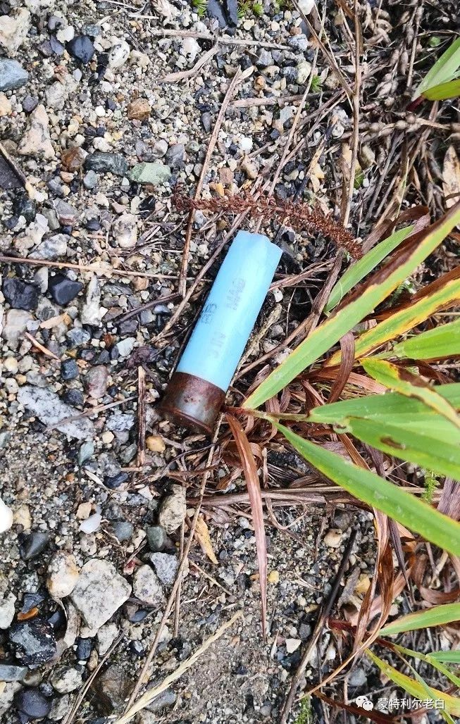 跟着老白行走加拿大，育空Watson Lake、BC省Northern Rockies