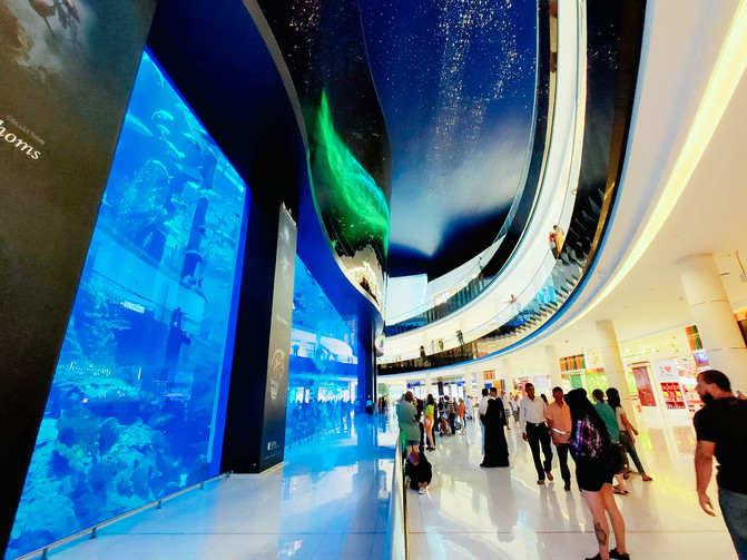 带你看不一样的迪拜,带你感受不一样的迪拜