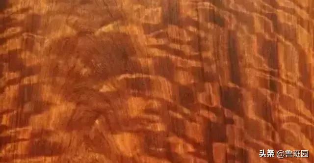 花梨木有哪几种木材,花梨木的十种鉴别方法