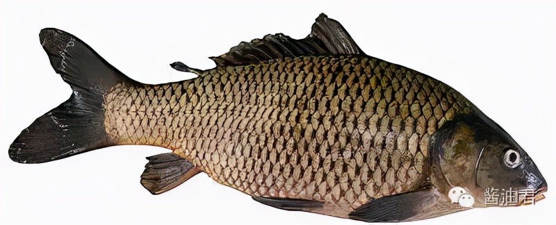 美国超市有哪些鱼,英国超市一般有什么鱼