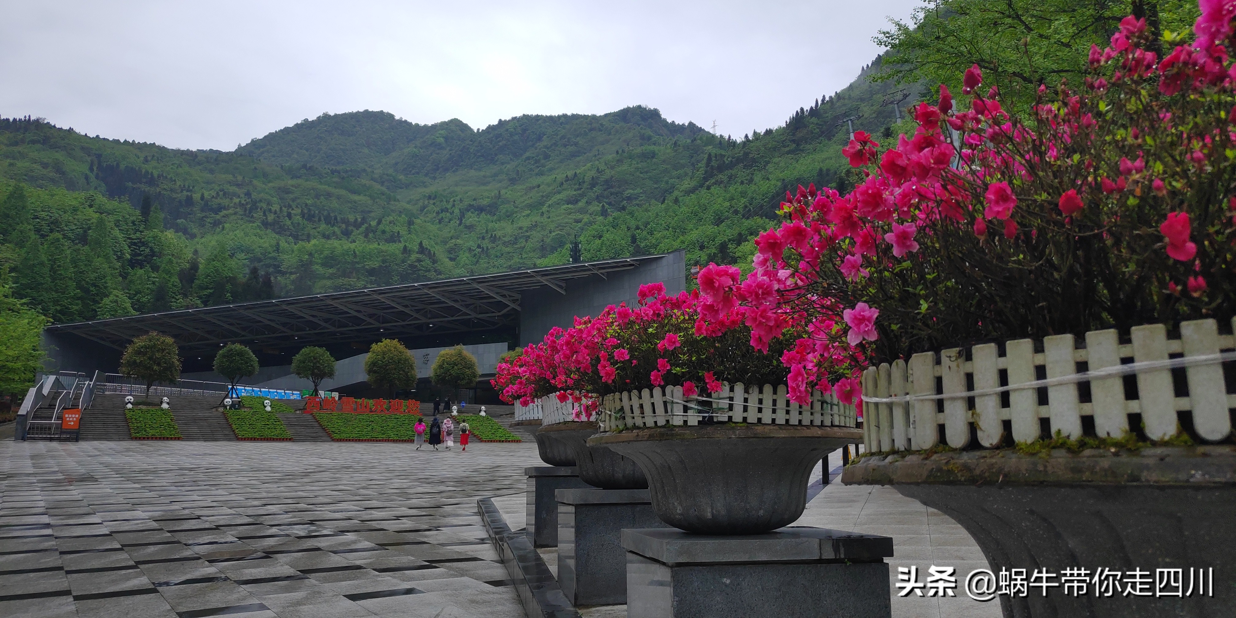 成都去西岭雪山两天一夜旅游团,成都出发雪山旅游