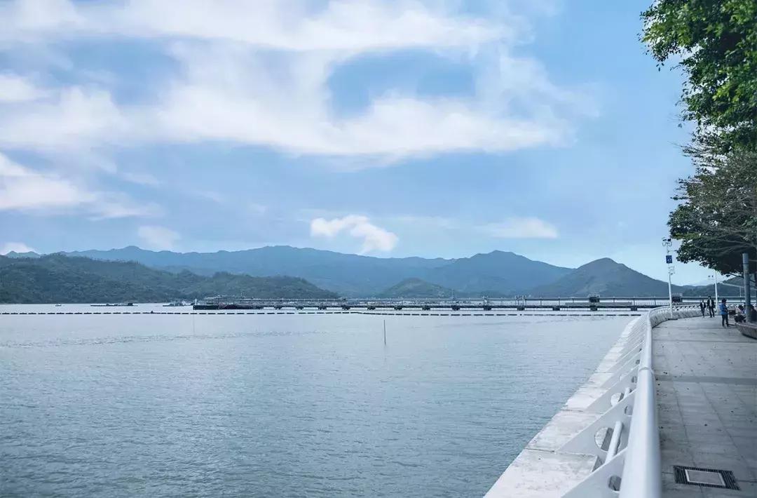 中英街深圳小香港,中英街深圳香港