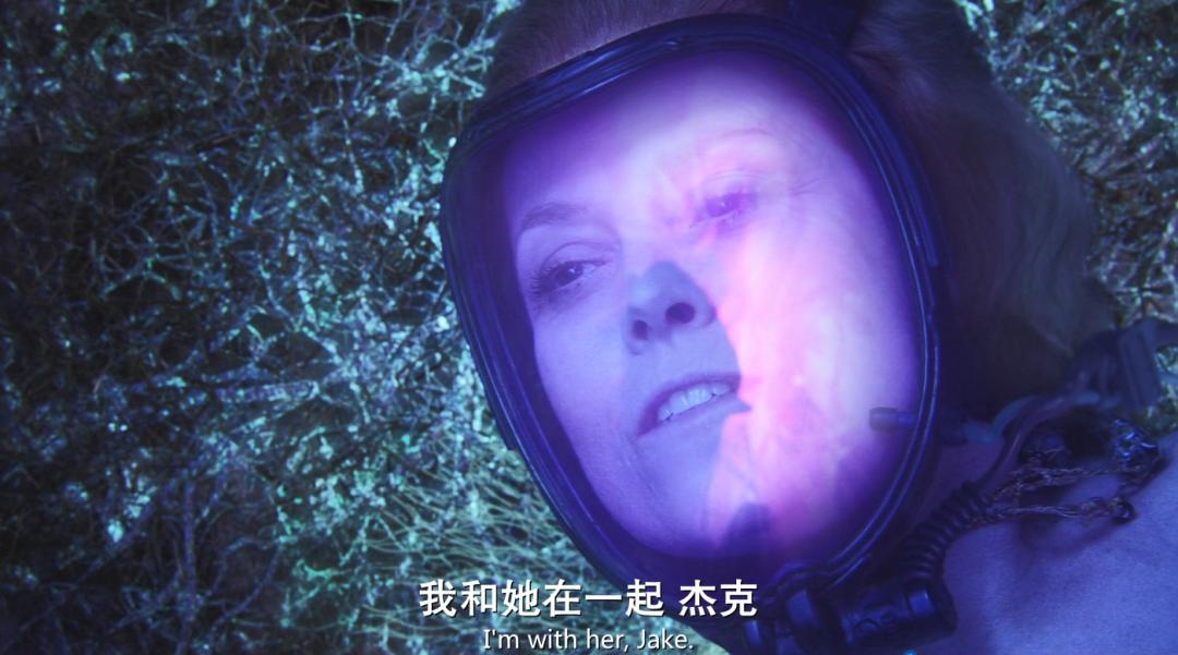 阿凡达最新彩蛋,阿凡达你不知道的隐藏细节