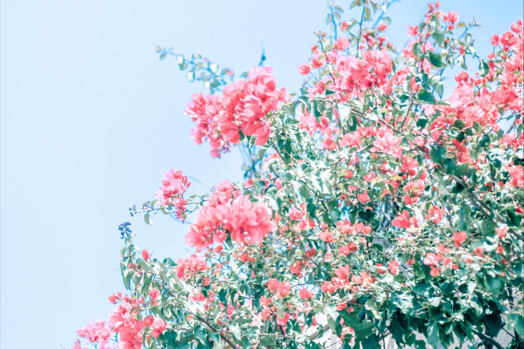 教你该如何搞掂12星座的坏脾气,十二星座里面脾气暴躁的四大星座