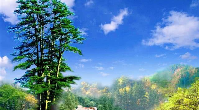 山西寺庙旅游景点大全,山西附近旅游寺庙景点大全