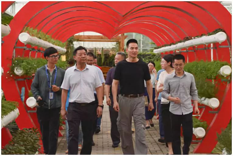 中农富玉大事记,中农富玉未来发展趋势