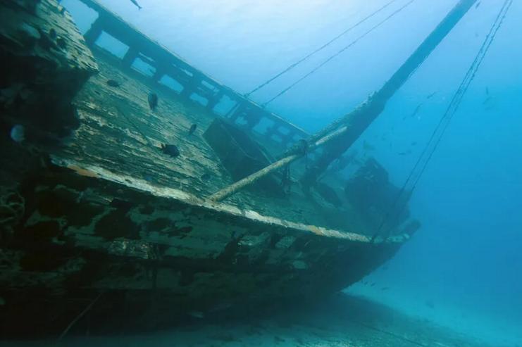 木头在水中是沉还是浮,木船为啥会沉