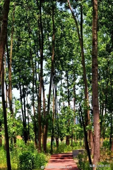 人间仙境美如画旅游地推荐,人间仙境好看的地方