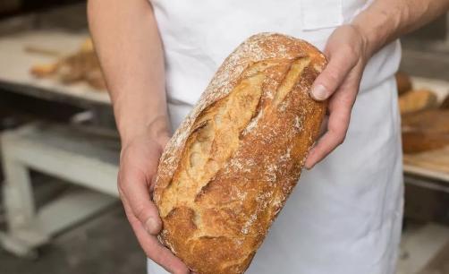 在国内怎么使用美元,如何用1美元变成100美元