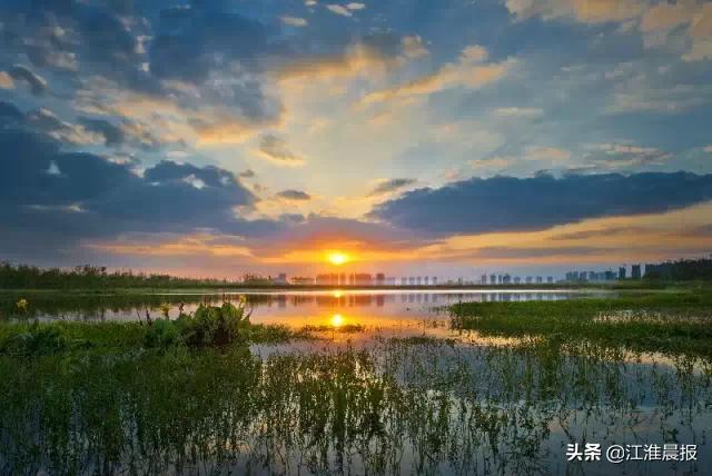 合肥靠什么逆袭的,合肥到底靠什么发展起来了