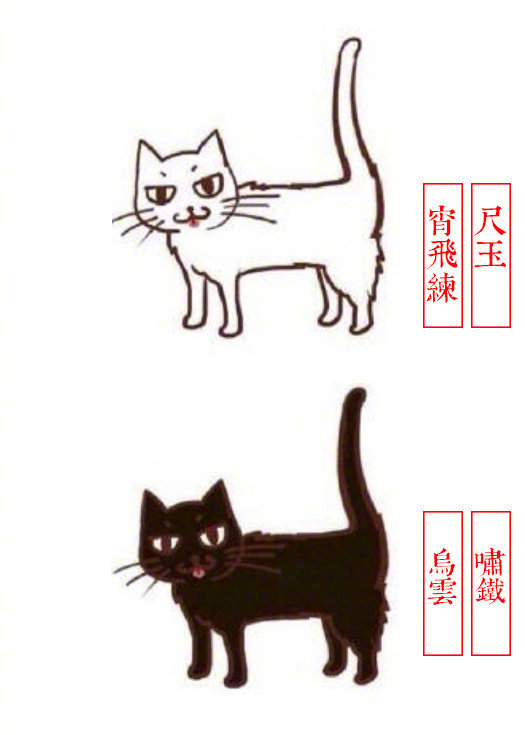 黄狸花猫咪名字,猫咪老师的花名有哪些
