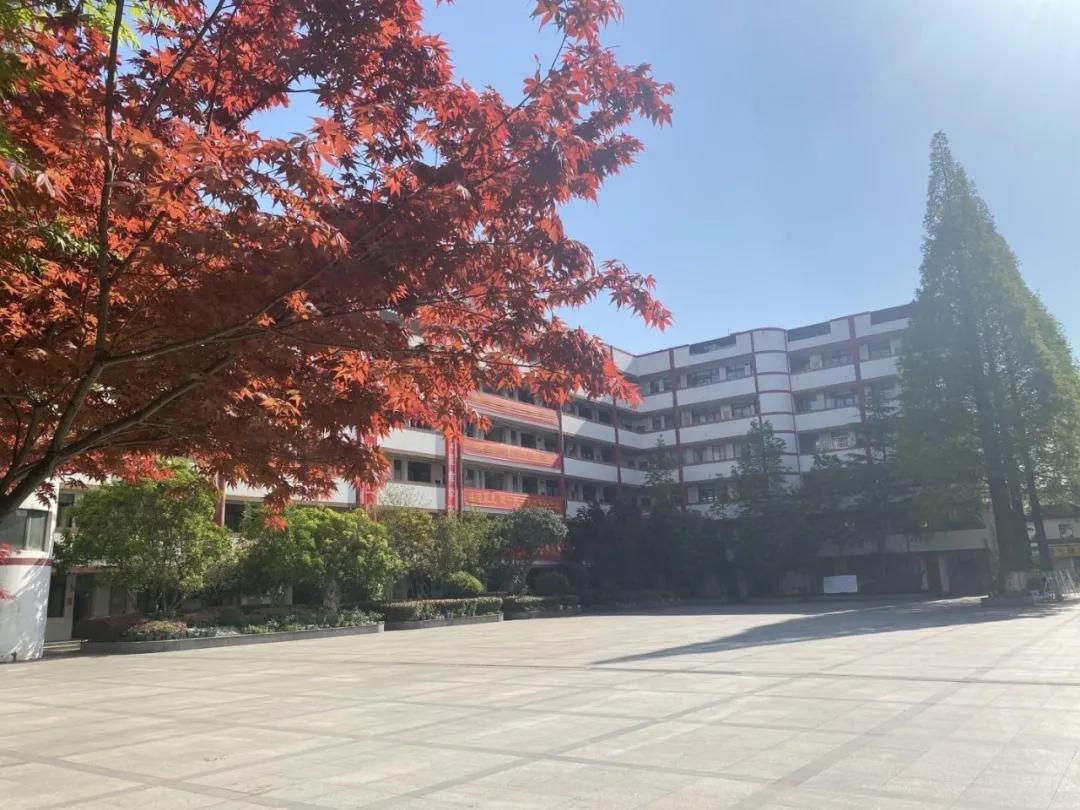 最美的风景美丽的校园,最美的风景就是校园