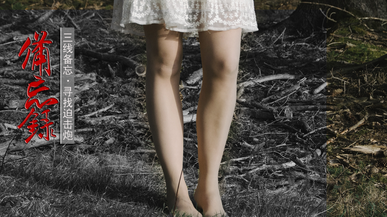 宣威羊场镇兵工厂,991厂炮弹