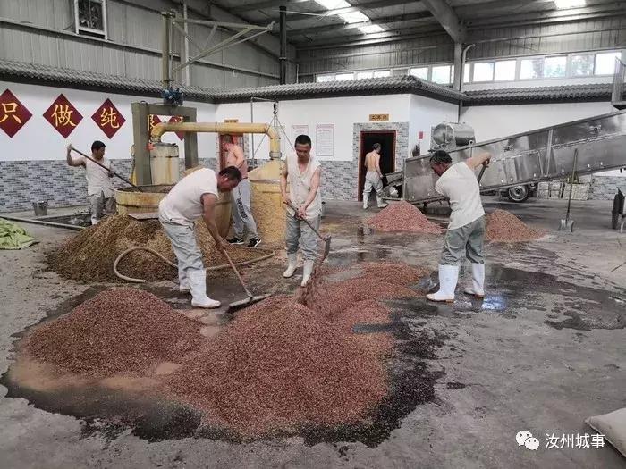 汝州人喝什么白酒,河南汝州一般喝什么酒