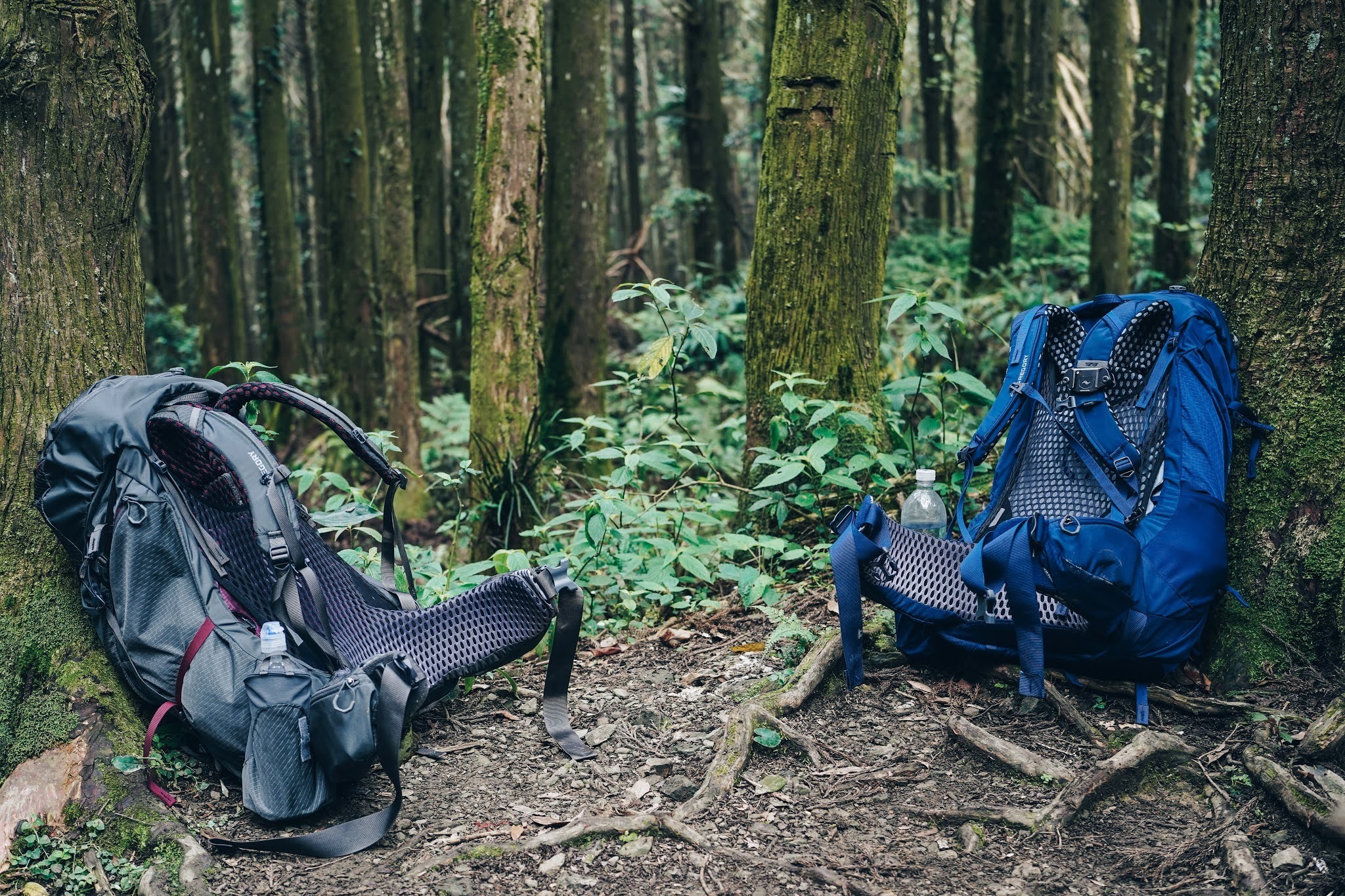 格里高利背包款式推荐,格里高利登山背包60升尺寸