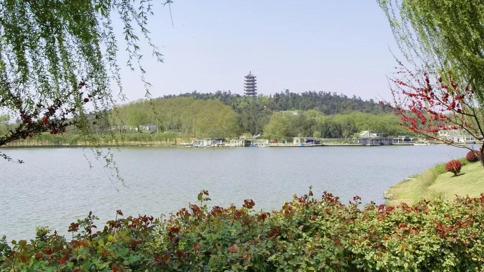 蚌埠市十大网红,蚌埠城市魅力排行