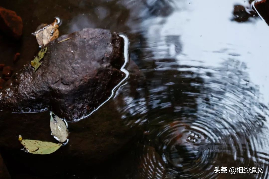 赤水大瀑布 侏罗纪公园 (贵州赤水侏罗纪公园攻略)