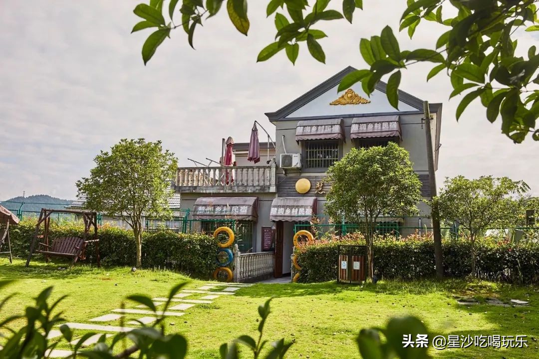 长沙小水果之乡,湖南长沙宝藏打卡地