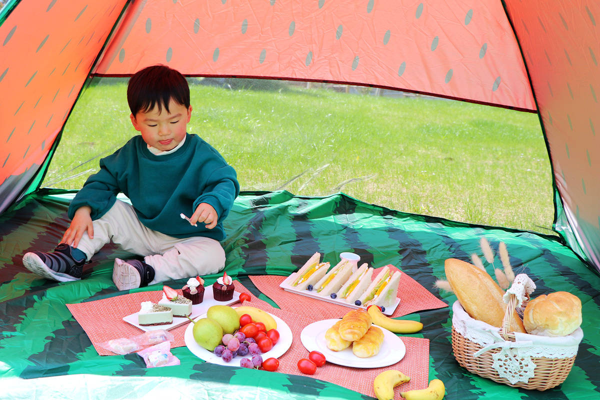 高铁出游度假,高铁出游攻略江浙沪