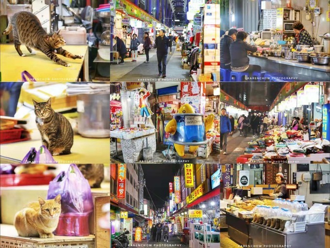 韩国小众游釜山市,大邱安东小吃