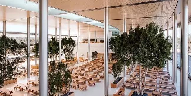 乔布斯去世真正的原因,乔布斯离世再无巅峰之作