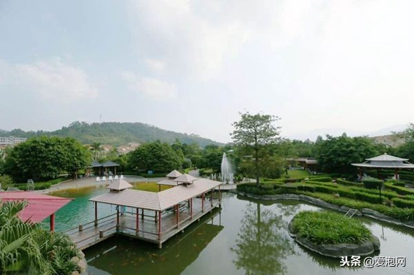 韶关野温泉旅游精品攻略,韶关新丰江源温泉旅游度假山庄