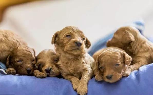 这五种情况下不能洗澡,这6种情况不建议立刻洗澡