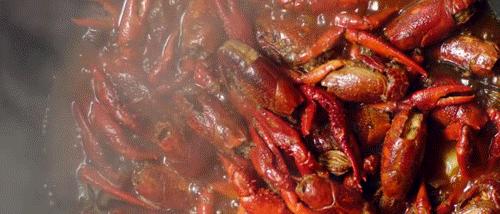 用最简单的食材做出美味的小龙虾,小龙虾怎么做才好吃家庭版的