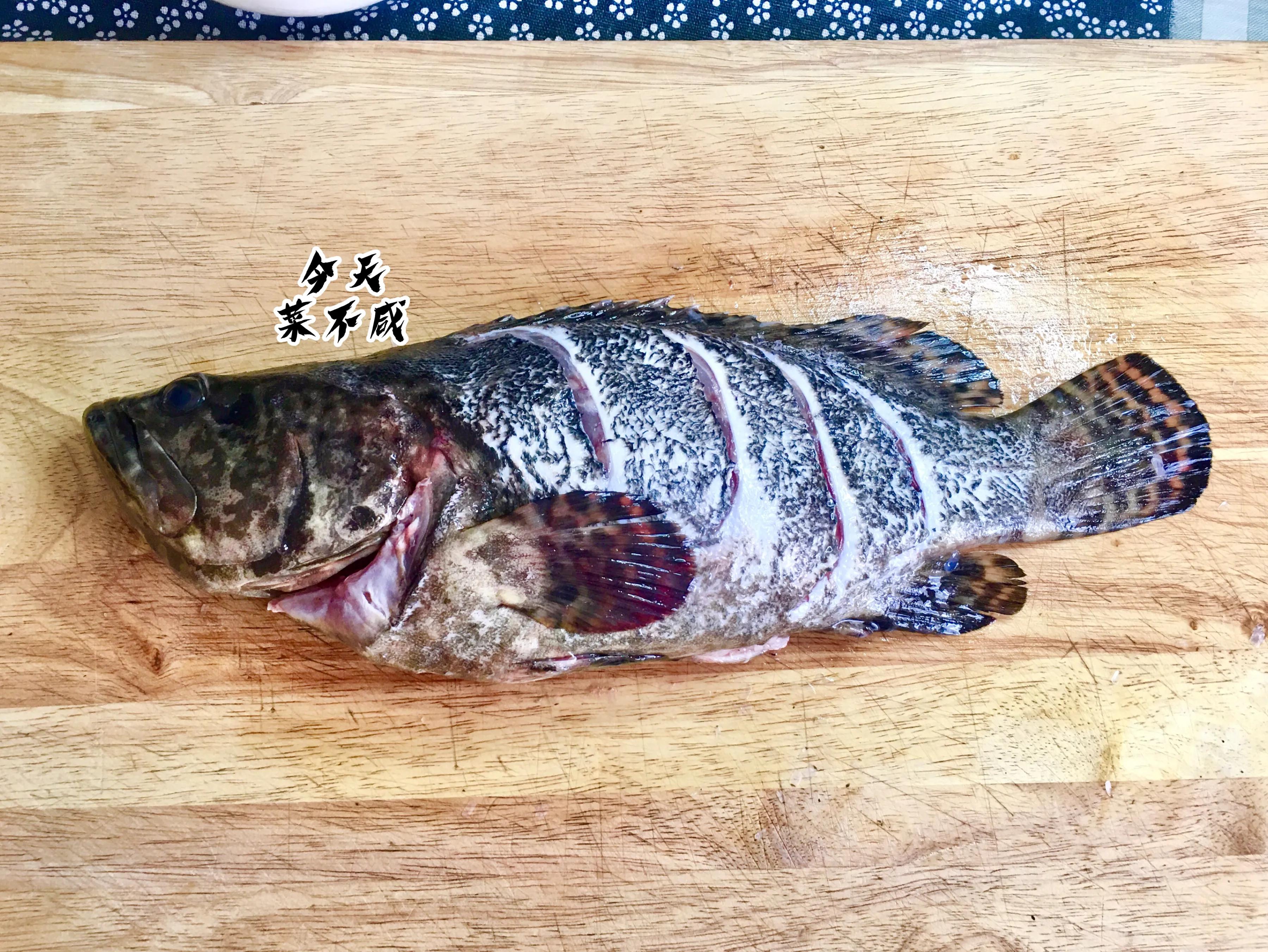 石斑鱼冷水蒸鱼还是开水蒸鱼好啊,石斑鱼蒸鱼切花刀盘圆视频教程