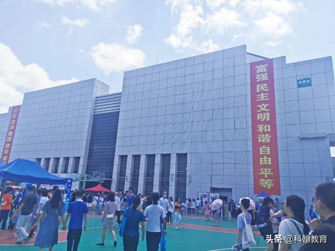 在深圳中学就读是怎样一番体验,深圳读书的真实感受