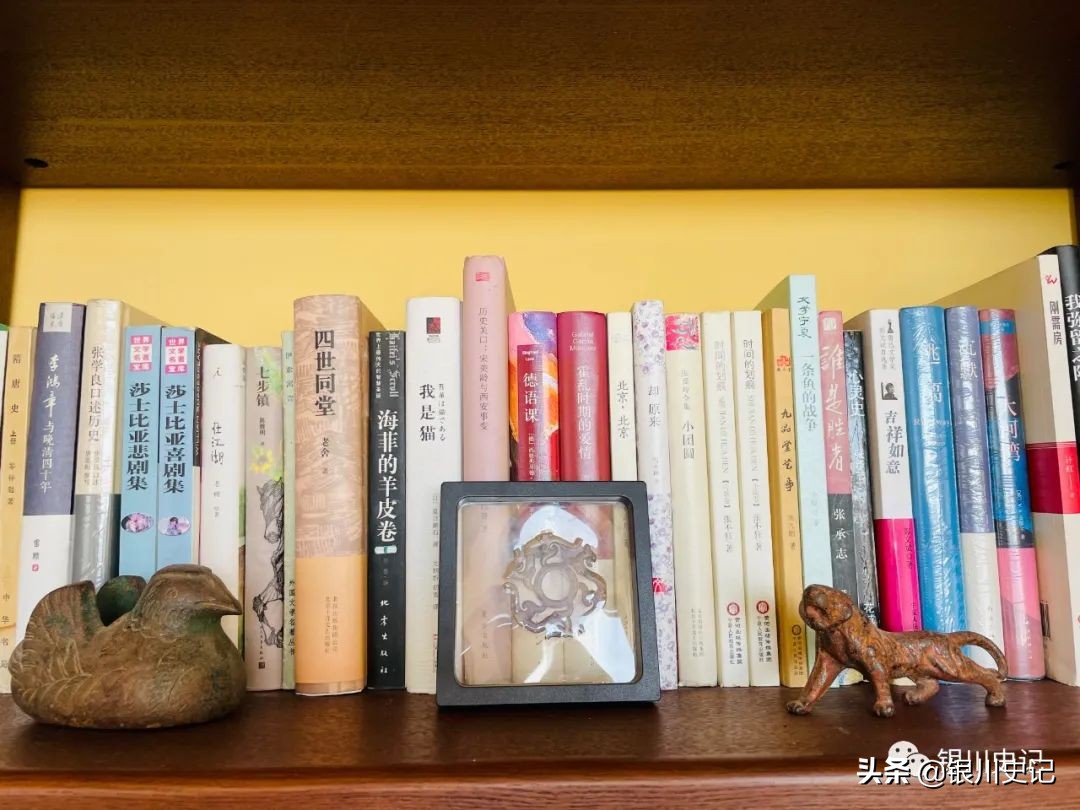 杨燕：我的书房为啥叫“晤园”