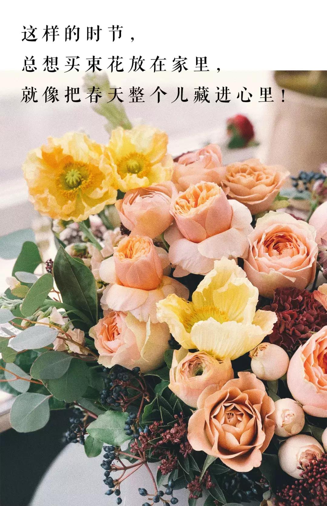 在花园里和鲜花为伴,在花店与鲜花为伴