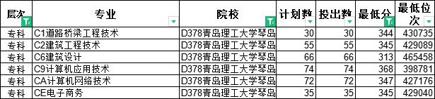 山东十大专科学校排名最好的专业,山东专科排名纯专科