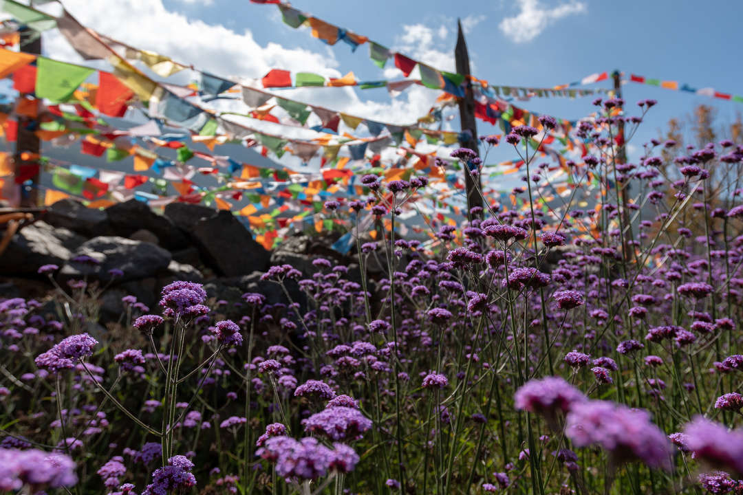 实力宠粉，免费游丽江|于荣光带你玩穿越