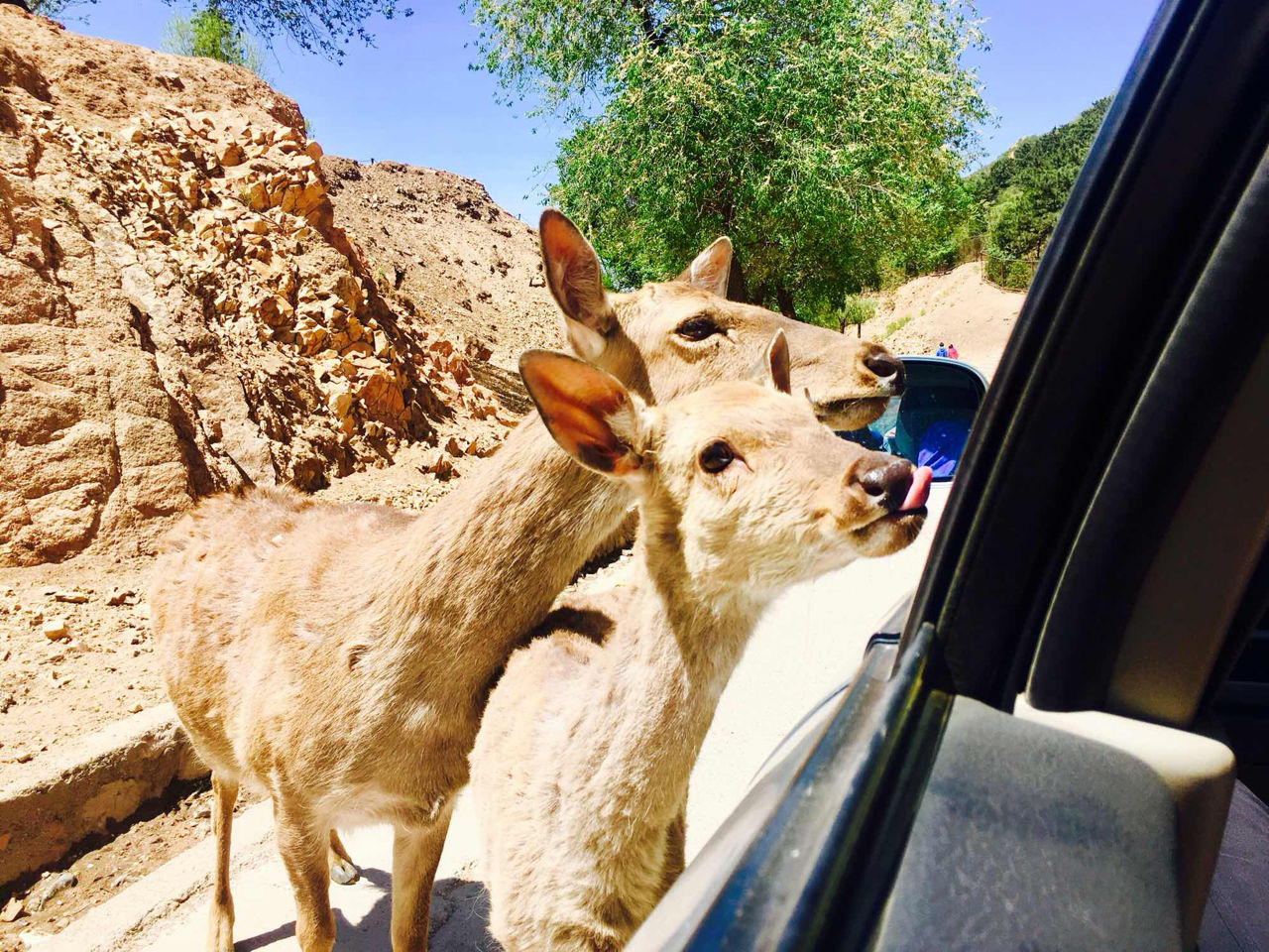 京津冀周边玩三天左右,京津冀十月旅游免费景区