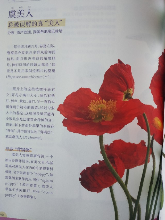 每个生命都值得尊重作文,每个生命都值得尊重和善待