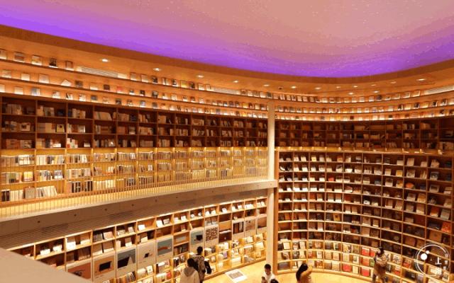 上海宋城免费景点,上海一日游攻略必去景点免费