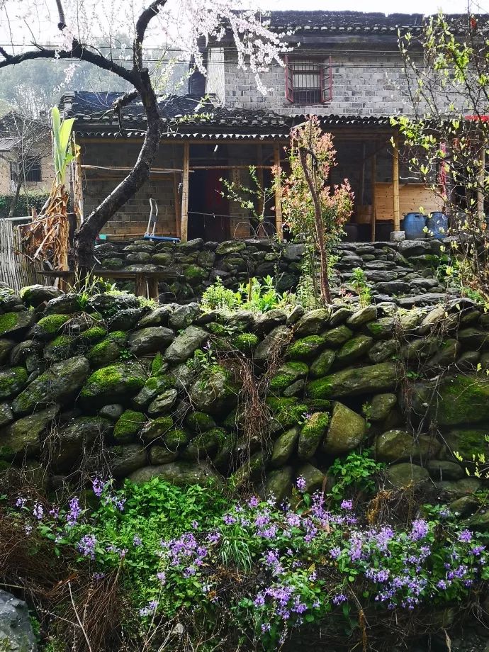 10年前，那个花83元穷游*藏西**的姑娘，后来怎么样了？