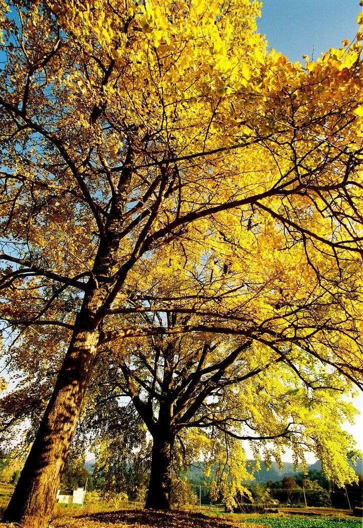 2019已过去迎接新的2020已到来,广西之旅2019