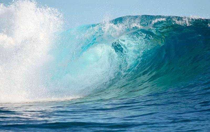 他们为什么去创业,他们为啥选择返乡创业