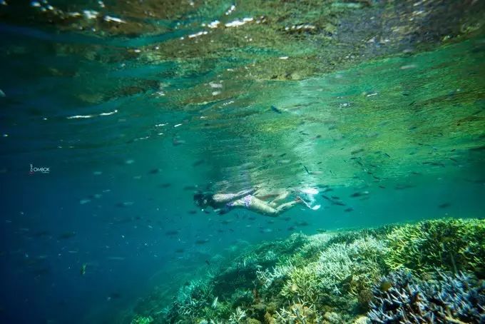 隐秘通关攻略,龙目岛攻略12天