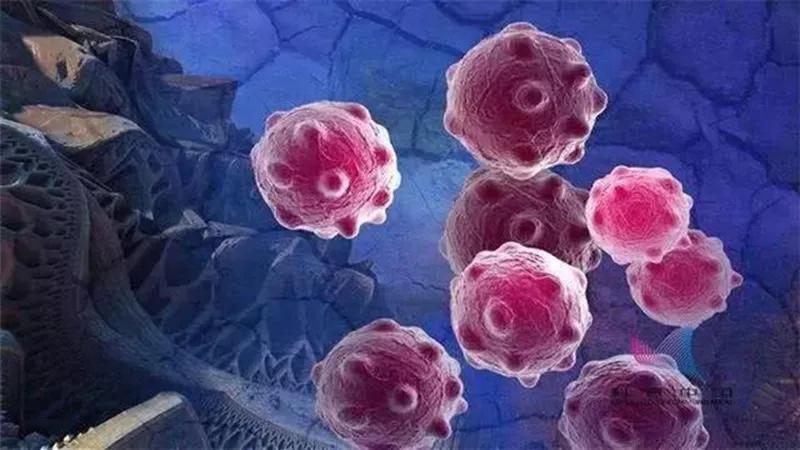 癌症中晚期不治疗活的时间更长,中晚期癌症治疗最好的方法