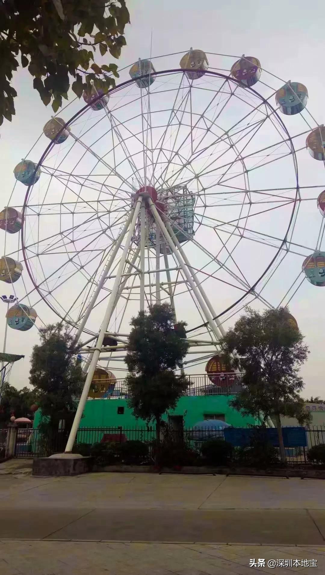 深圳免费的景点有哪些地方,深圳有哪些免费又好玩的地方景点