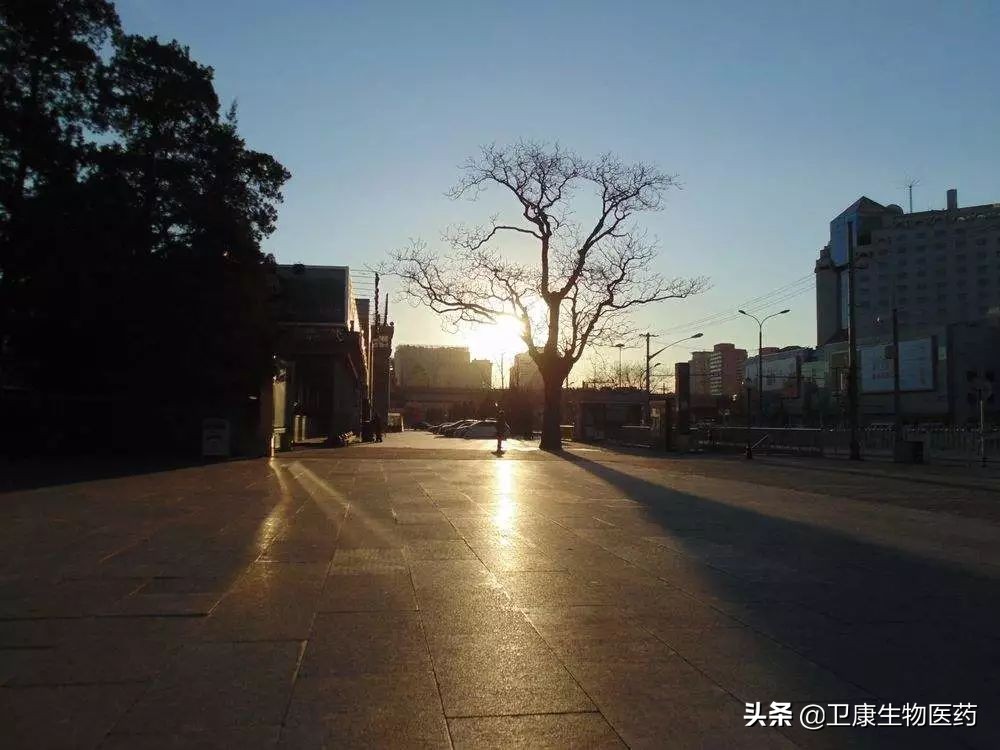 说一说你心中最美的景致,其实一切都是挺好的